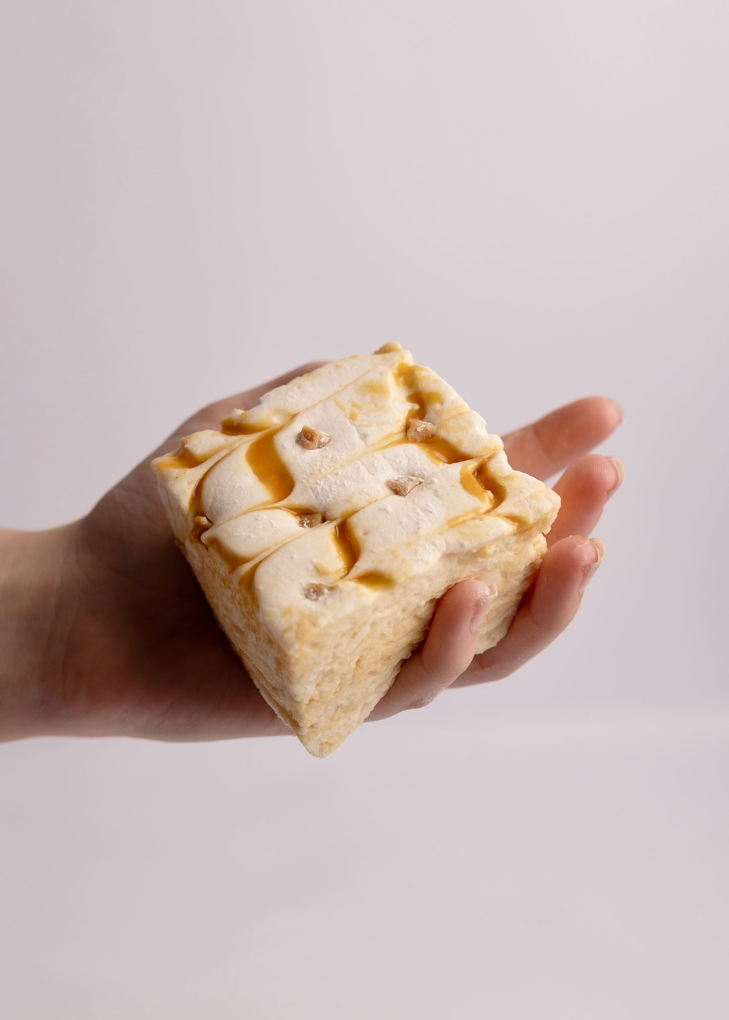 Salted Caramel Fudge Marshmallows